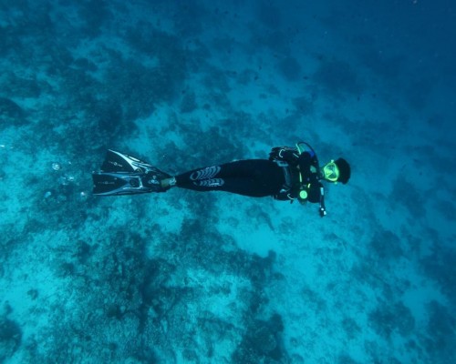 Scuba Inn 3* — Ари Атолл, остров Омаду