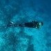 Scuba Inn 3* — Ари Атолл, остров Омаду