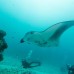 Scuba Inn 3* — Ари Атолл, остров Омаду