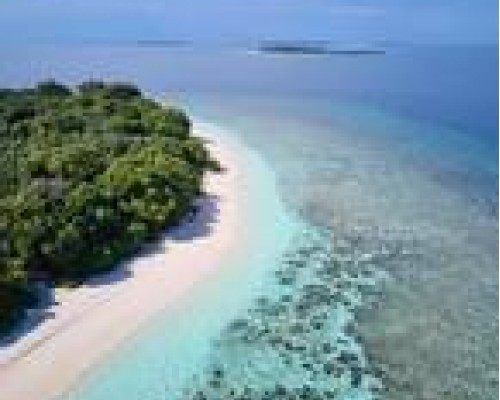 Akomadoo Retreat 4* — Баа Атолл, Мальдивы