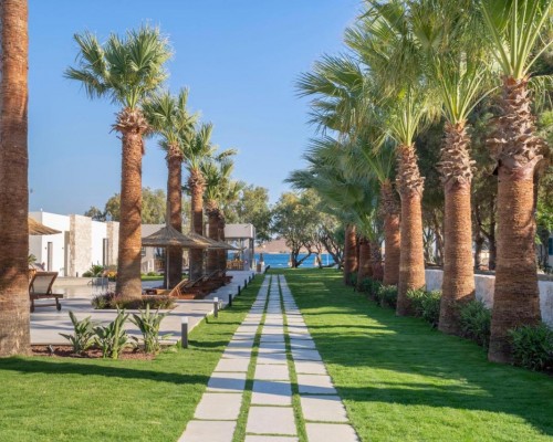 Regia Mare Beach Hotel Bodrum 3*: честный обзор от турагента