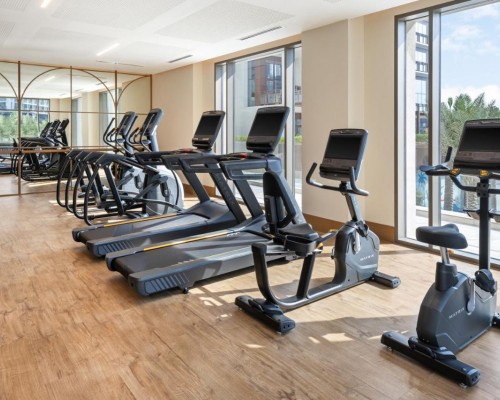 Vida Creek Beach Hotel 4* в Дубае: честный обзор отеля