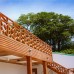 Perla Dhangethi 4* на Ари Атолле: что важно знать перед бронированием