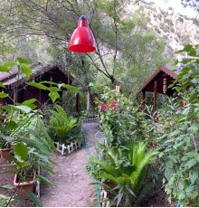 CanaRio Bungalow 3*