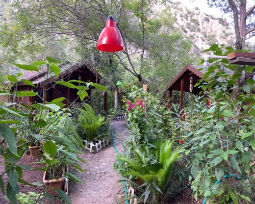 CanaRio Bungalow 3* в Кемере — честный разбор от турагента