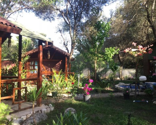 CanaRio Bungalow 3* в Кемере — честный разбор от турагента
