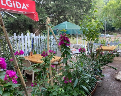CanaRio Bungalow 3* в Кемере — честный разбор от турагента