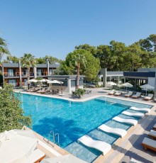 Forest in Hotel 3*