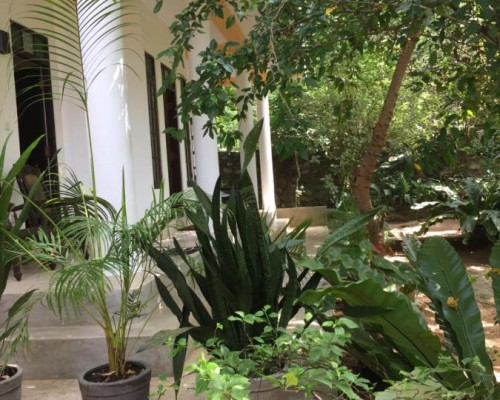 Ramya Villa 3* — Унаватуна, Шри-Ланка