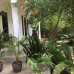 Ramya Villa 3* — Унаватуна, Шри-Ланка