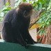 Unawatuna Backpacker Lodge в Унаватуне: что это за место