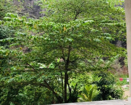 Unawatuna Backpacker Lodge в Унаватуне: что это за место