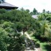 Villa Rumassala Luxury Chalets — отель 5* в Унаватуне