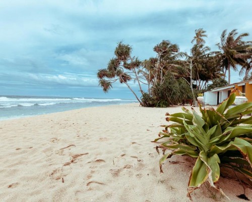 Alonish Resort & Restaurant, Хиккадува — отель 3*