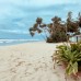 Alonish Resort & Restaurant, Хиккадува — отель 3*