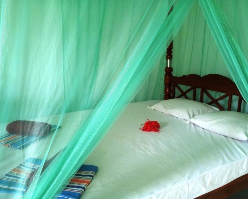 Rainbow Guest House в Хиккадуве: что важно знать перед бронированием