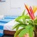 The Emerald Guest House & Villa, Унаватуна — обзор отеля 2*