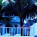 Shenora Beach Resort 2* — Хиккадува, Шри-Ланка