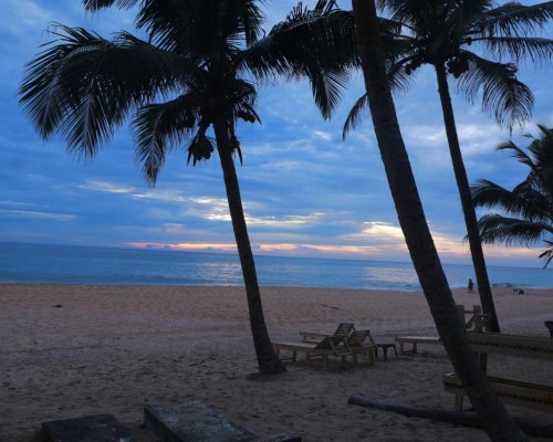 Shenora Beach Resort 2* — Хиккадува, Шри-Ланка