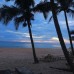 Shenora Beach Resort 2* — Хиккадува, Шри-Ланка
