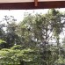 The Bamboo Leaf Apartment, Хиккадува — что важно знать до брони
