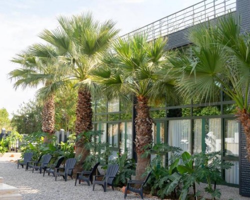 Inno Concept Hotel, Анталья: что это за отель