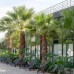 Inno Concept Hotel, Анталья: что это за отель