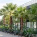 Inno Concept Hotel, Анталья: что это за отель