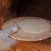 Wadi Sabarah Lodge 3* — Марса Алам, Египет