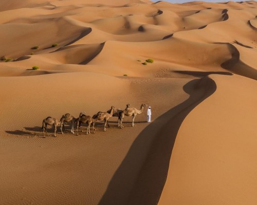 Anantara Qasr al Sarab Desert Resort 5* — Абу-Даби, ОАЭ