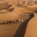 Anantara Qasr al Sarab Desert Resort 5* — Абу-Даби, ОАЭ