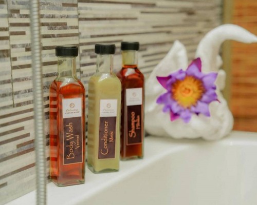 Celestia Ayurveda Resort 3* — Бентота, Шри-Ланка