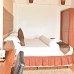 Marina Bay Retreat & Spa на Маафуши: что важно знать
