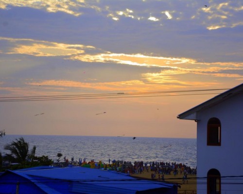 Beach Corridor Hotel & Spa 3* в Негомбо: честный обзор