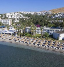 Palmet Family Bianco 4*