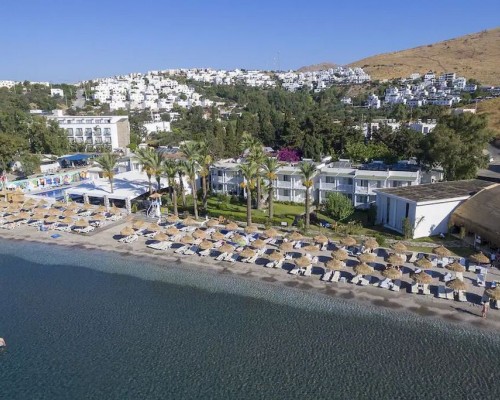 Palmet Family Bianco 4* в Бодруме: честный обзор от турагента