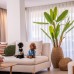 Club Arona By Laren Hotels 5* — семейный отдых в Белеке