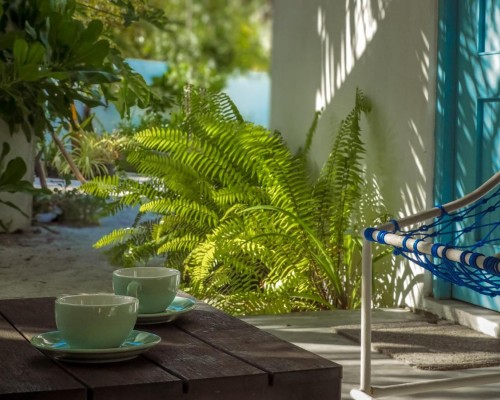 Manta Reserve 3* — гостевой дом на Баа Атолле, Мальдивы