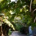 Manta Reserve 3* — гостевой дом на Баа Атолле, Мальдивы