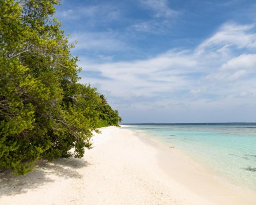 Manta Reserve 3* — гостевой дом на Баа Атолле, Мальдивы