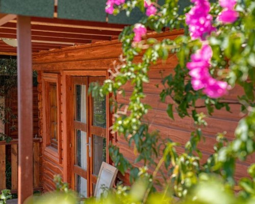 Felicity Hotel & Bungalows 3* в Кемере: взгляд турагента