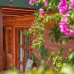 Felicity Hotel & Bungalows 3* в Кемере: взгляд турагента