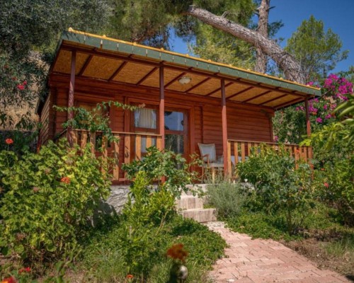 Felicity Hotel & Bungalows 3* в Кемере: взгляд турагента