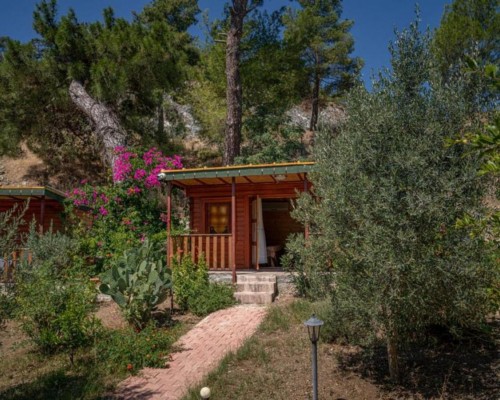 Felicity Hotel & Bungalows 3* в Кемере: взгляд турагента