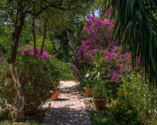 Felicity Hotel & Bungalows 3* в Кемере: взгляд турагента