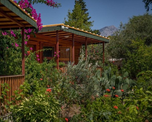 Felicity Hotel & Bungalows 3* в Кемере: взгляд турагента