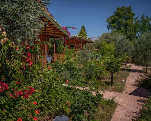 Felicity Hotel & Bungalows 3* в Кемере: взгляд турагента