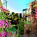 Jasmin Beach Hotel 4* в Бодруме: честный обзор от турагента
