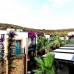 Jasmin Beach Hotel 4* в Бодруме: честный обзор от турагента