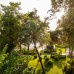 AQI Pegasos Club 4* — Инжекум, Аланья: честный обзор от турагента